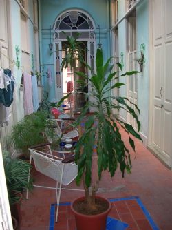 'Yard' Casas particulares are an alternative to hotels in Cuba. Check our website cubaparticular.com often for new casas.