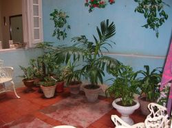 'yard' Casas particulares are an alternative to hotels in Cuba. Check our website cubaparticular.com often for new casas.