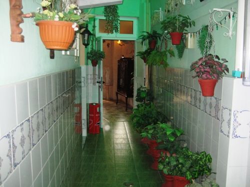 'plantas' is what you can see in this casa particular picture. Casas particulares are an alternative to hotels in Cuba. Check our website cuba-particular.com often for new casas.