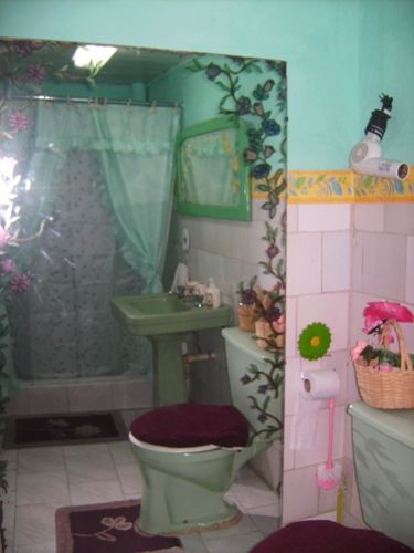 'bathroom' is what you can see in this casa particular picture. Casas particulares are an alternative to hotels in Cuba. Check our website cuba-particular.com often for new casas.