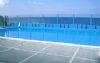 Casa Particular Gladys pool at Miramar, Habana (click for details)