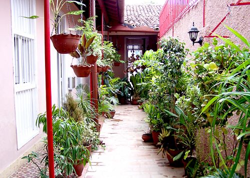 'Patio ' Casas particulares are an alternative to hotels in Cuba. Check our website cubaparticular.com often for new casas.